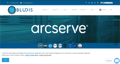 Desktop Screenshot of bludis.it
